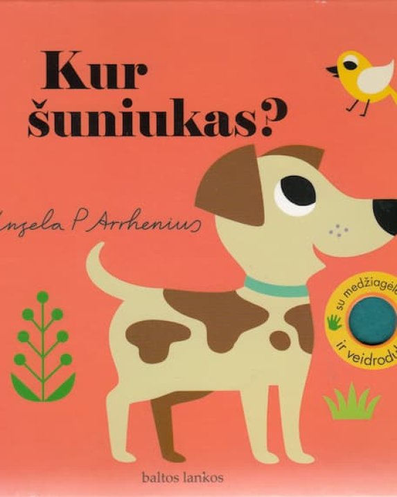 KUR ŠUNIUKAS? Su medžiagėlėmis ir veidroduku 