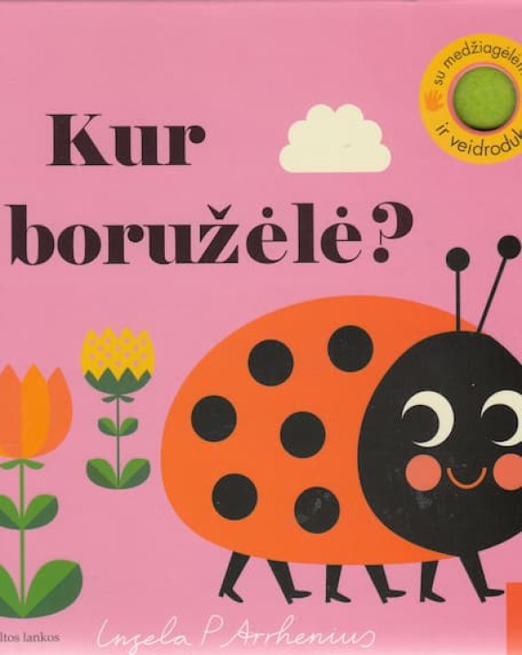 Kur boružėlė?