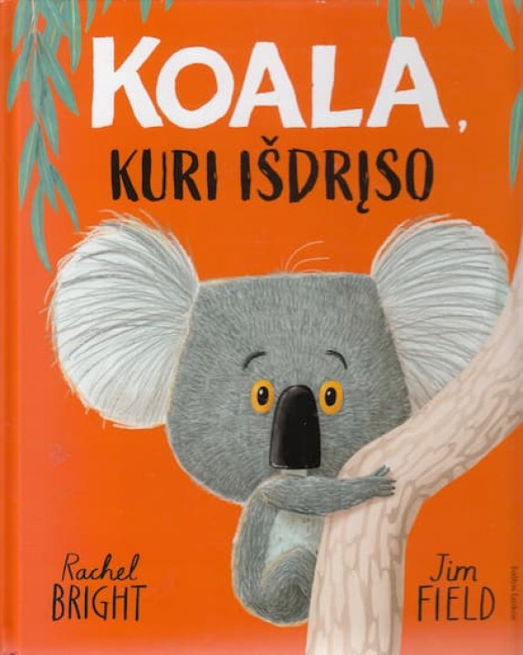 Koala, kuri išdrįso