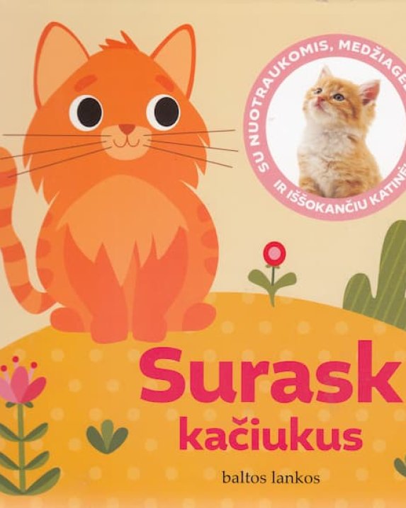 SURASK KAČIUKUS: su nuotraukomis, medžiagėlėmis ir iššokančiu katinėliu!