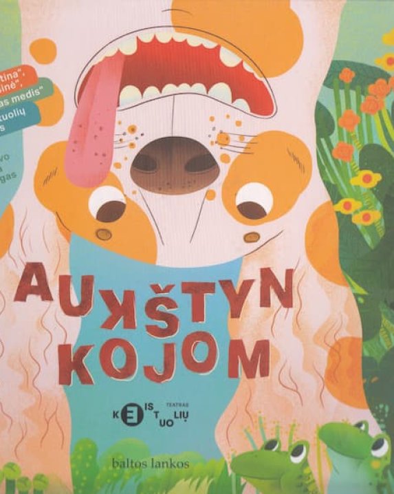 AUKŠTYN KOJOM