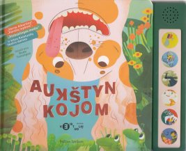 AUKŠTYN KOJOM