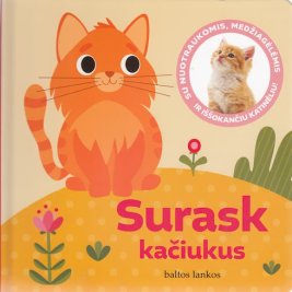 SURASK KAČIUKUS: su nuotraukomis, medžiagėlėmis ir iššokančiu katinėliu!
