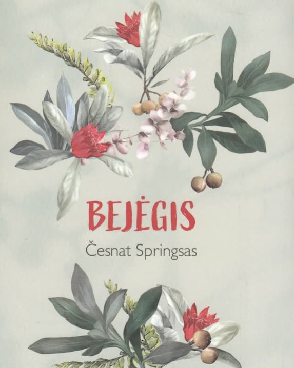 Bejėgis
