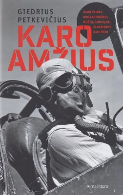 Karo amžius